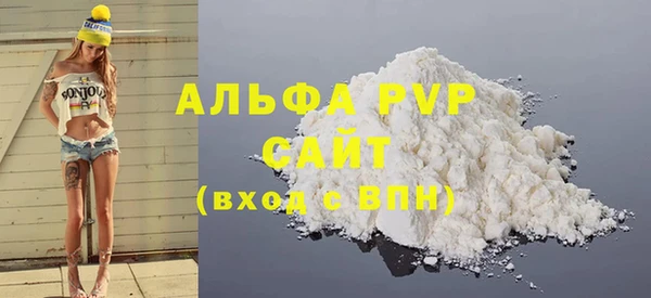 мдпв Инсар