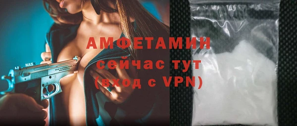 мдпв Инсар