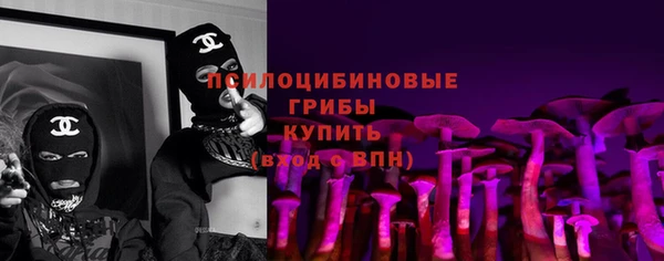 мдпв Инсар