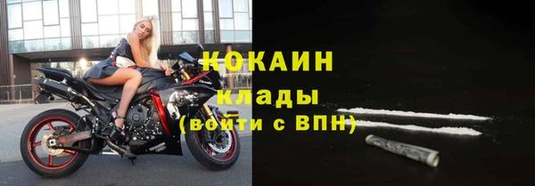 дурь Инта