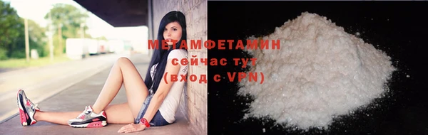 мдпв Инсар