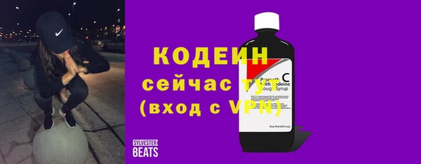 мдпв Инсар