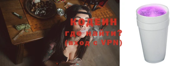 мдпв Инсар