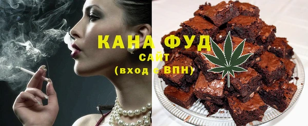 мдпв Инсар
