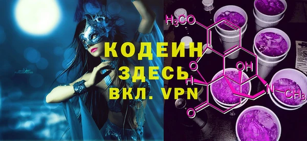 дурь Инта