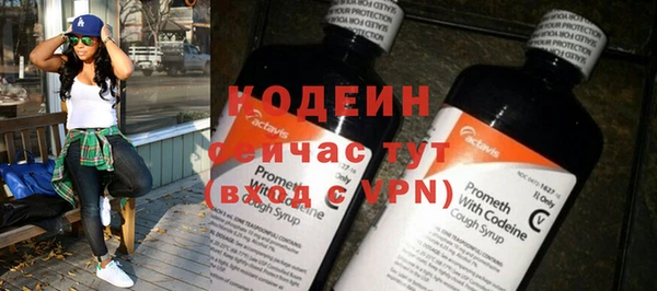 мдпв Инсар