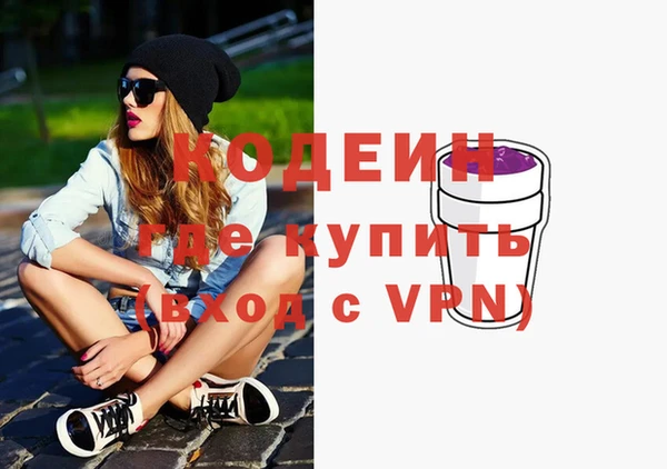 мдпв Инсар