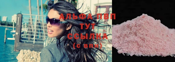 мдпв Инсар