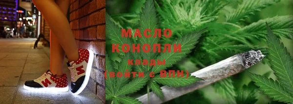 дурь Инта