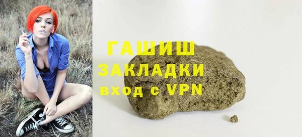 мдпв Инсар