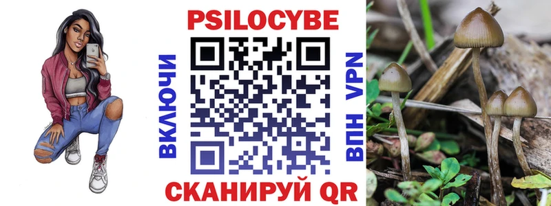 Купить закладки  Болхов  Псилоцибиновые грибы мухоморы 